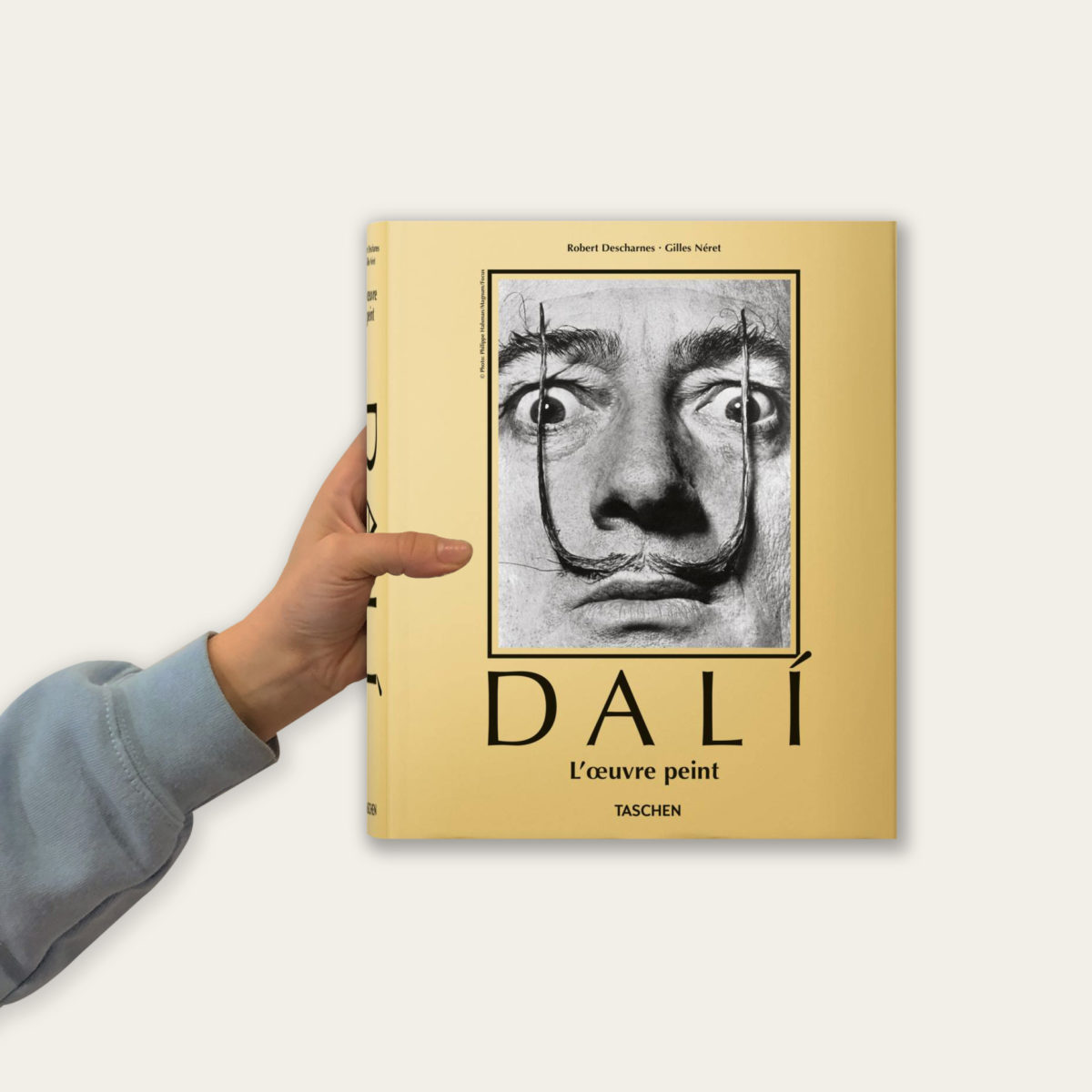 Dalí. L'œuvre peint